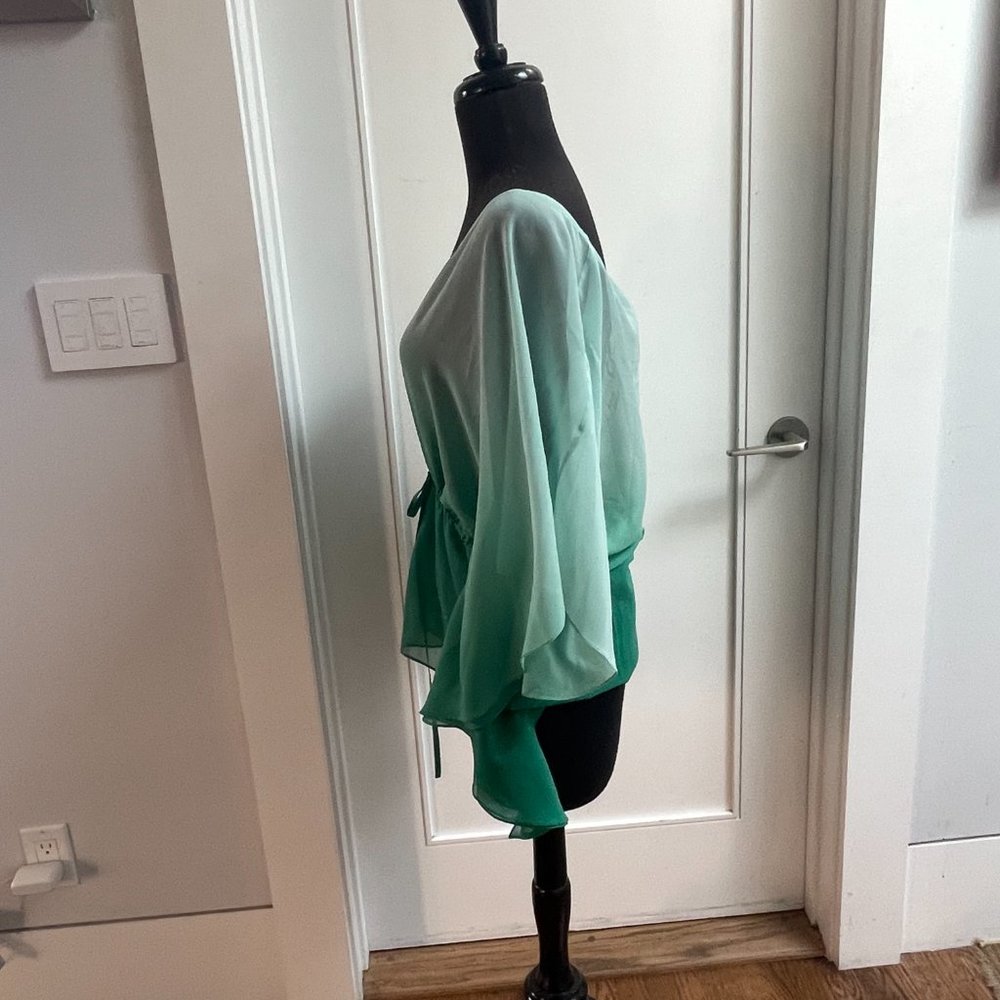 NWT Haute Hippie green ombre silk blouse size M - Picture 4 of 7